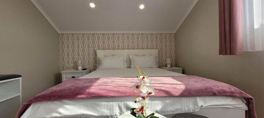 Casa Leahu Bed & Breakfast Baile 1 Mai Bagian luar foto